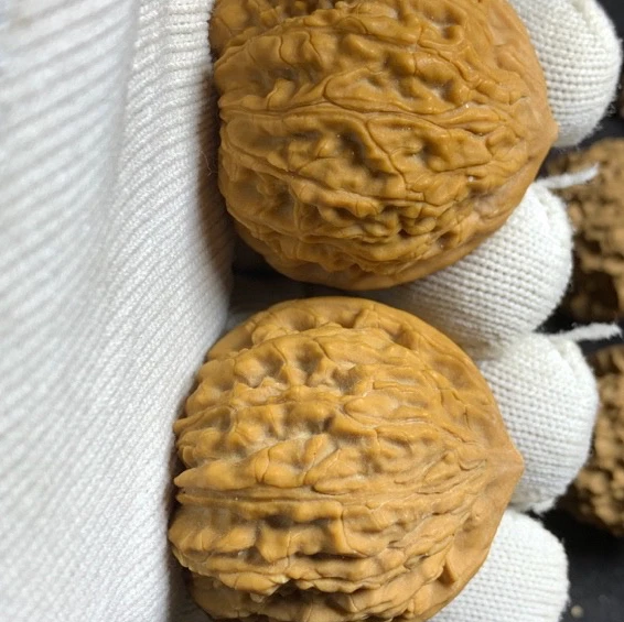 小众野麻罗汉狮子头文玩核桃把件