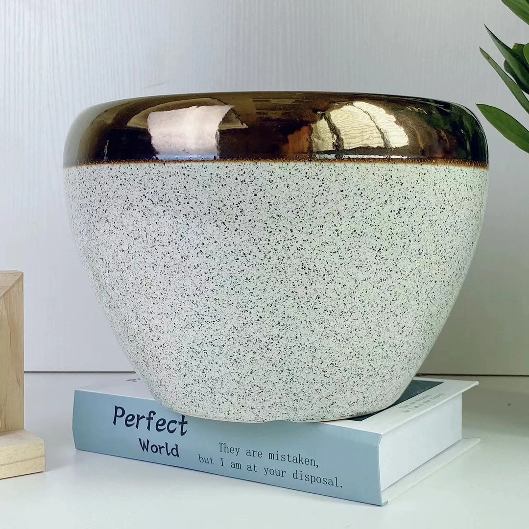 陶瓷花盆家用客厅兰花虎皮兰专用金边苹果中号口径19cm高度15cm