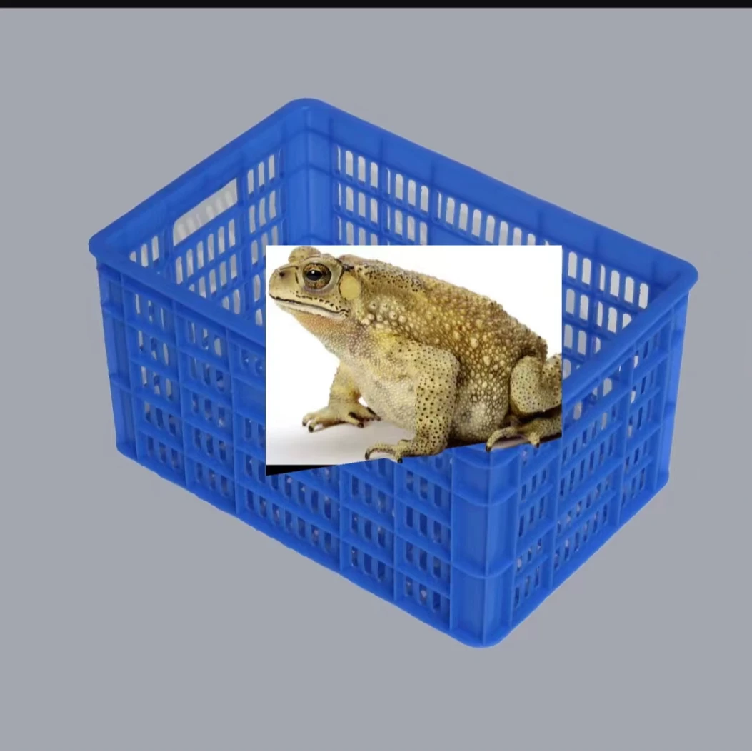畜牧养殖水产物资周转框子
