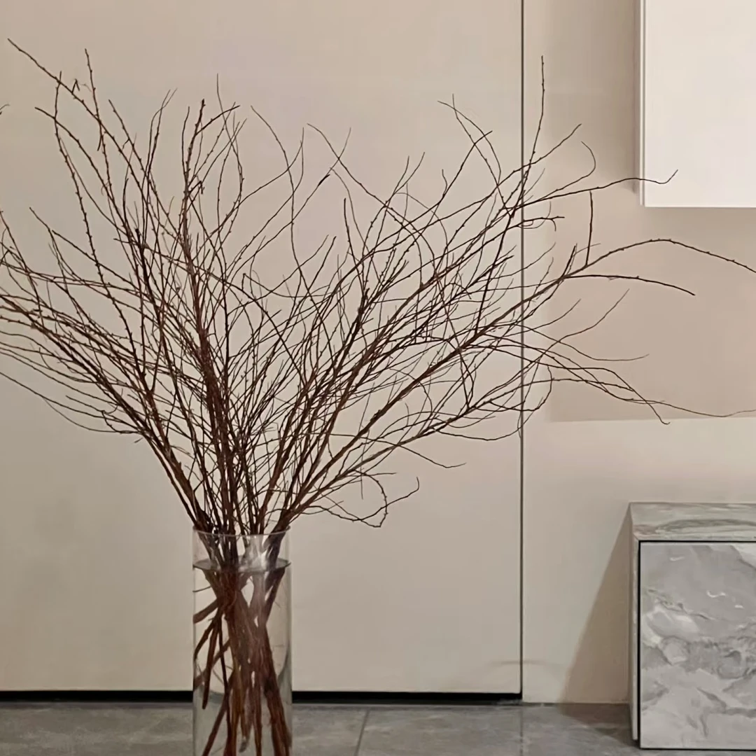 【花千亿】雪柳鲜枝-水培耐寒云南昆明斗南基地直发（四单包邮到家）