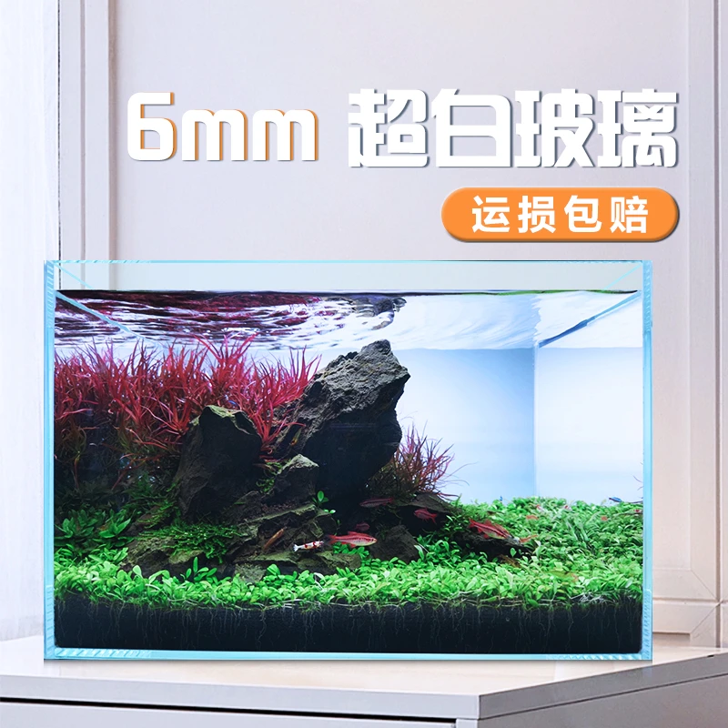 超白玻璃鱼缸客厅小型裸缸造景南美原生溪流缸桌面生态乌龟缸草缸