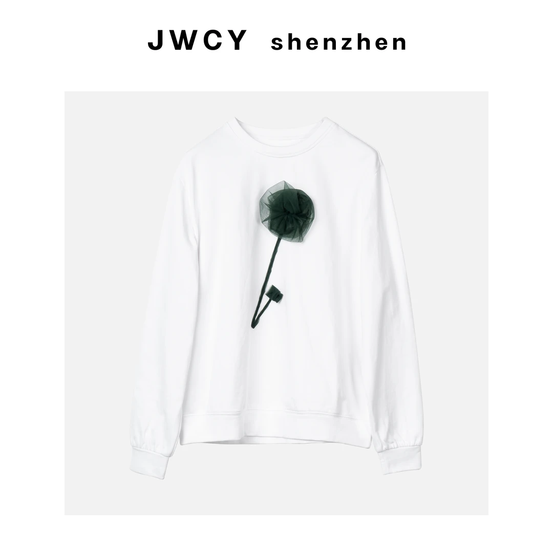 【coco甄选】 圆领套头百搭绣花设计款卫衣 JW42FE3659