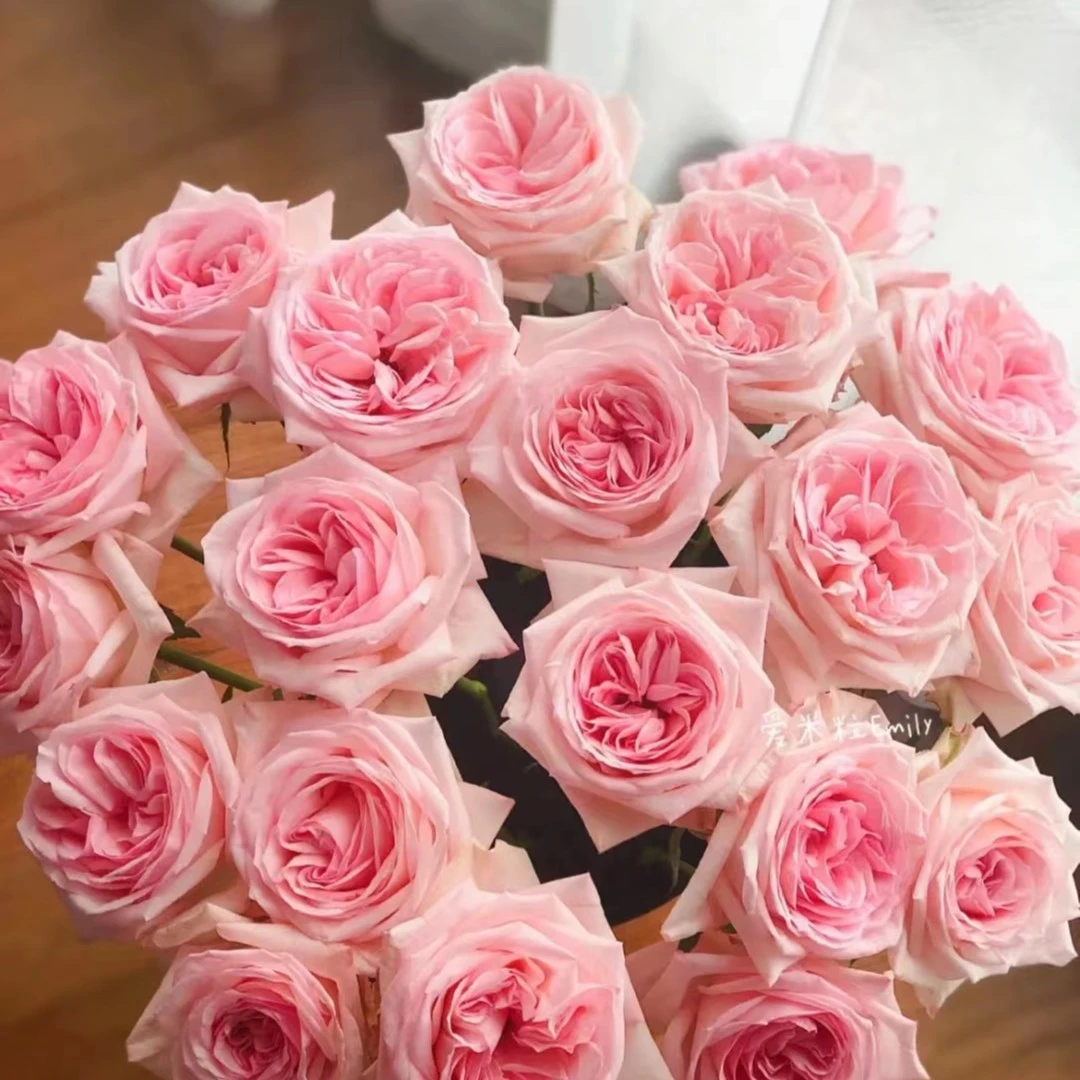 10枝粉荔枝  玫瑰 一单中通冷链 任意2单顺丰冷链