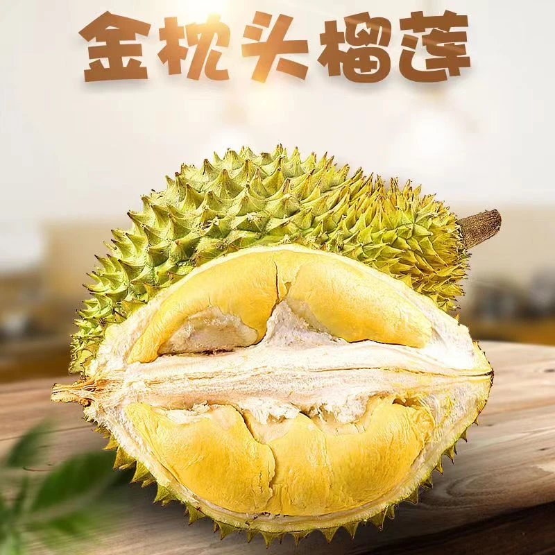 G供应链直发越南金枕头榴莲老树树熟坏果虫果包赔