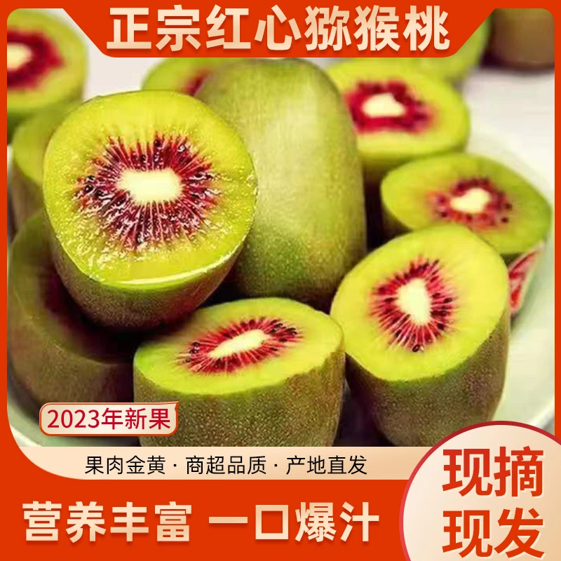 优选中果  【贵州水城红心猕猴桃】现摘现发 当季新鲜水果 单果70g+