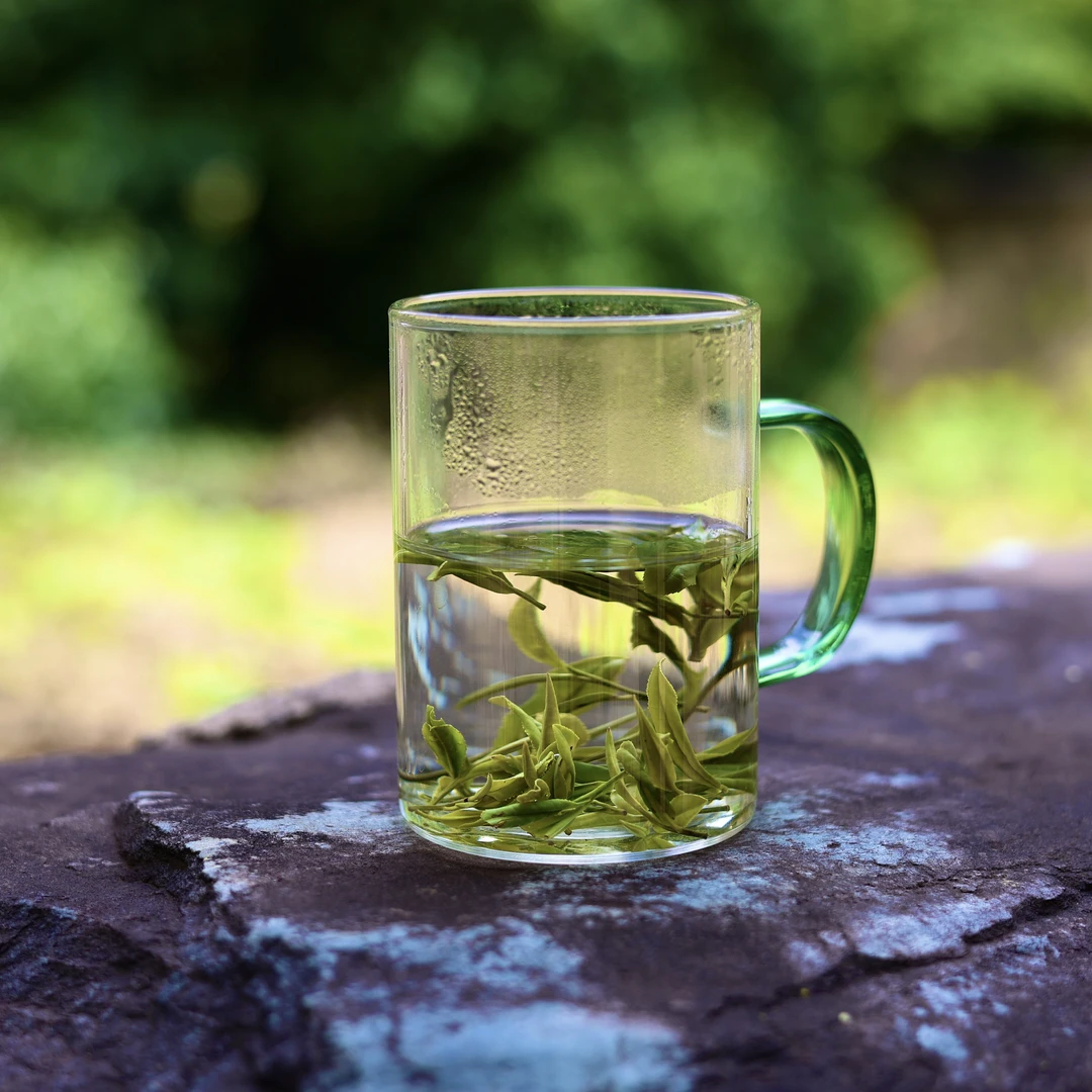 2025明前茶/彭蠡峰浪溪高山绿茶浓香型袋装清香型50克包邮