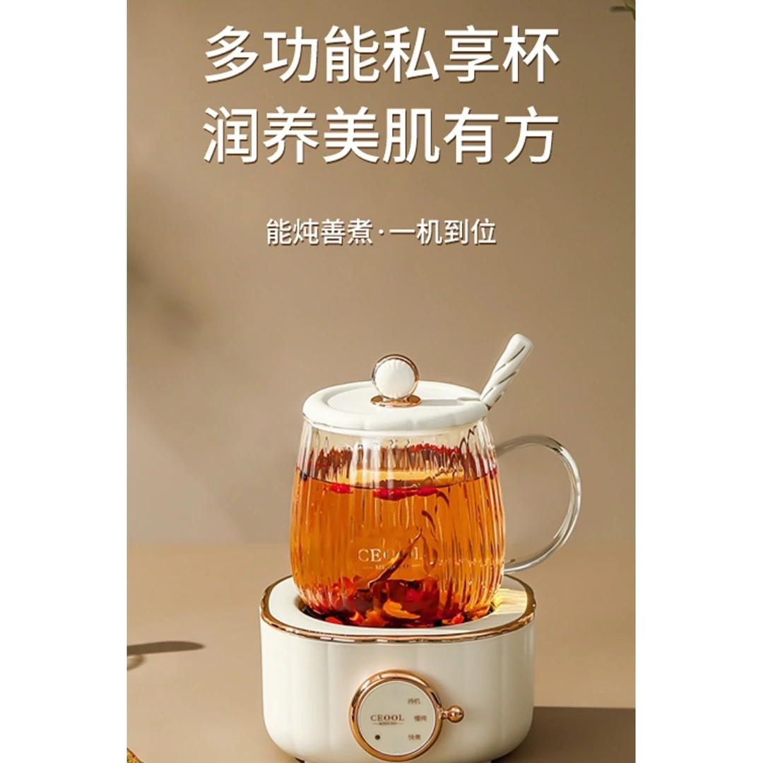 家用多功能迷你养生电炖杯办公室电煮加热杯燕窝电炖盅