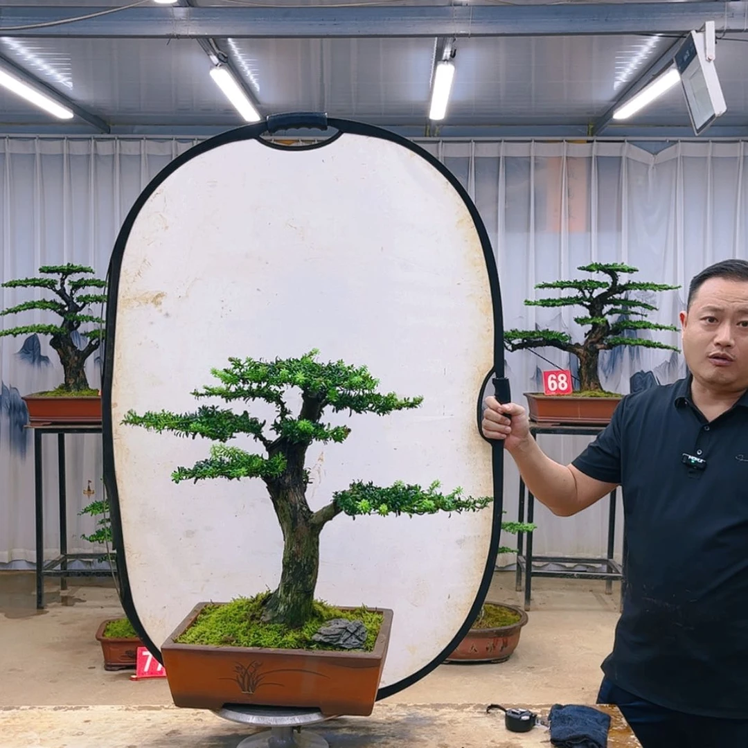 【闪购商品】一物一拍