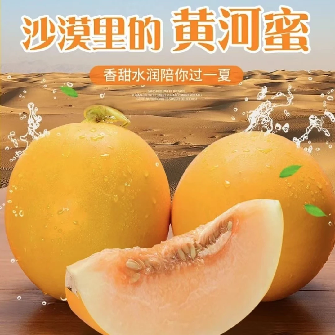【达人推荐】头茬民勤沙漠蜜瓜现摘新鲜水果哈密瓜香甜多汁脆甜可口