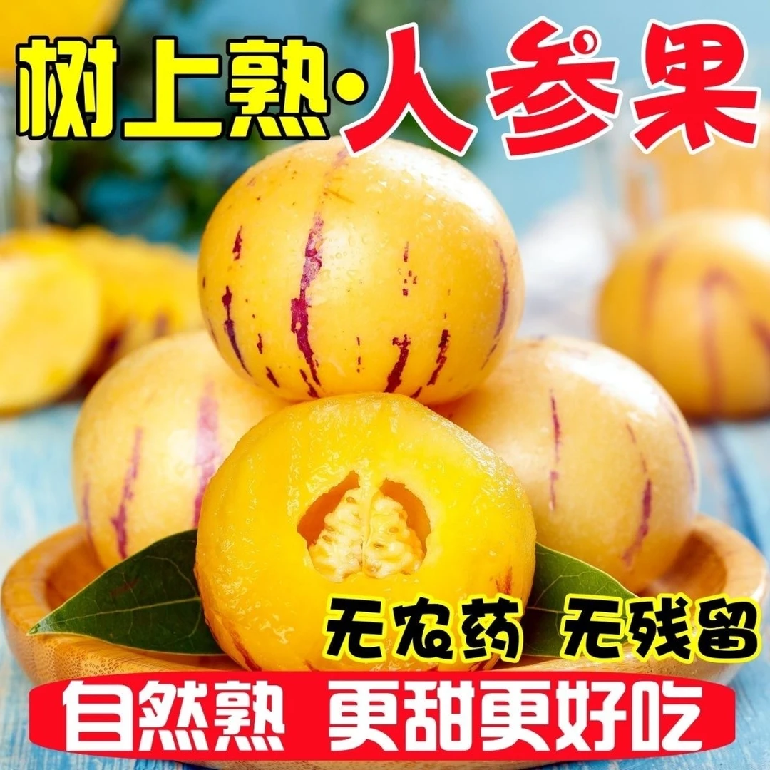 云南树上熟人参果-黄皮黄肉黄心清甜多汁产地直发