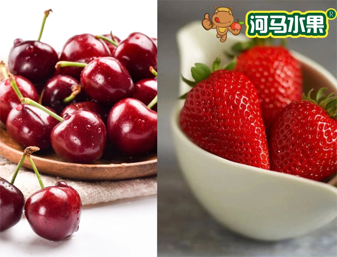 【莓厘组合】单J车厘子(250g)+草莓(250g)