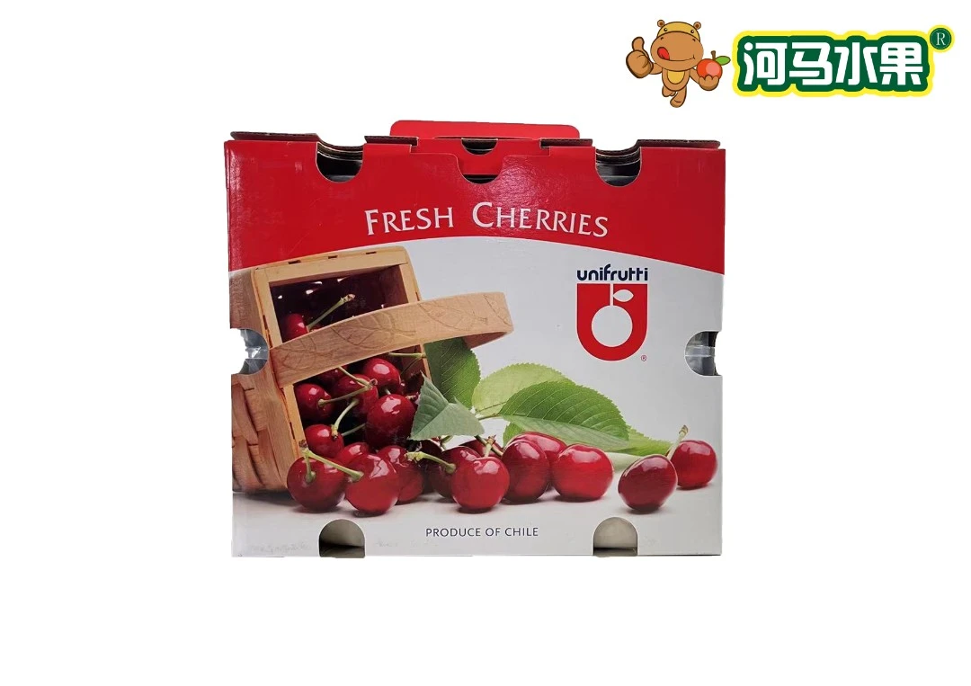 礼盒单J车厘子1盒（约5斤/盒）+（送干尧榴莲1个约2.5-3斤/个）