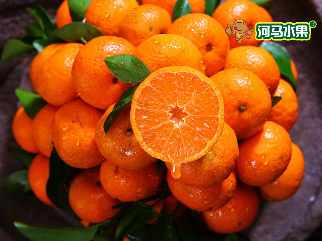 砂糖橘 250g/份