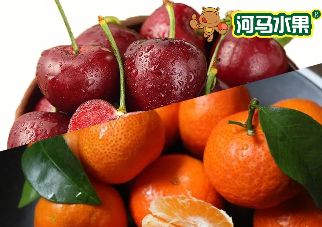 单J车厘子1份(约500g)＋沙糖桔(约500g)