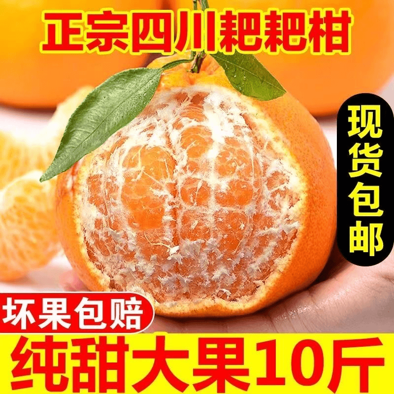 四川正宗春见耙耙柑5/10斤爆汁 香甜当季新鲜水果甜蜜多汁品质
