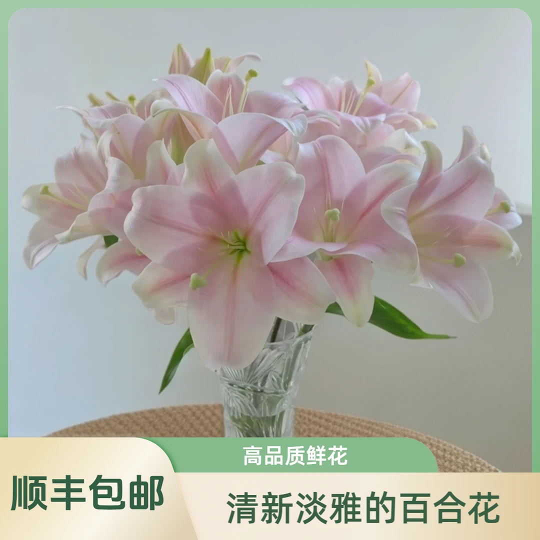 【花喜甄选】粉色铁炮百合双头10朵鲜花云南基地现摘直发顺丰包邮