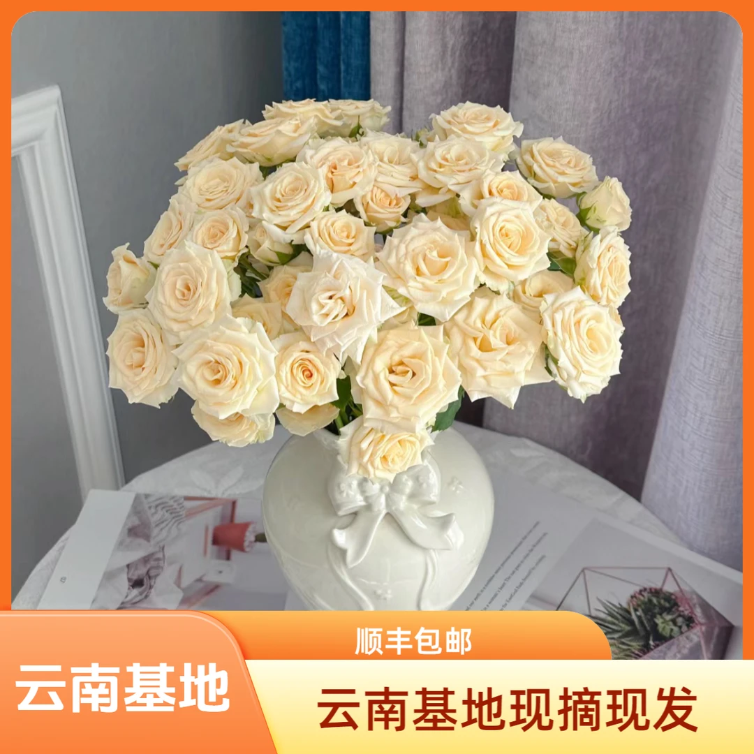 【花喜甄选】翠妮媞云南基地现摘现发顺丰包邮