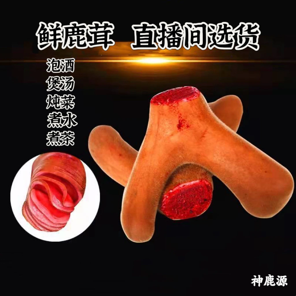【鹿茸】直播间选购