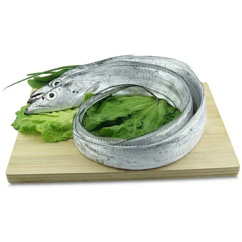 《顺丰包邮》整条深海小眼睛油带鱼到手净重4斤肉质鲜嫩深海美味