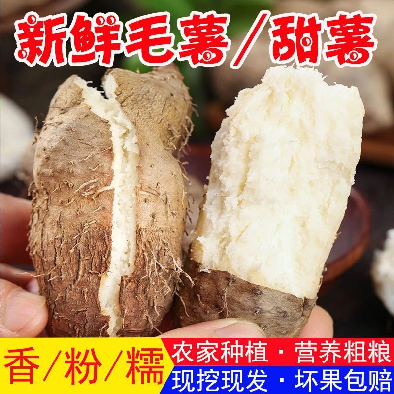 海南万宁毛薯新鲜现挖好吃毛薯粉糯田薯地瓜香甜