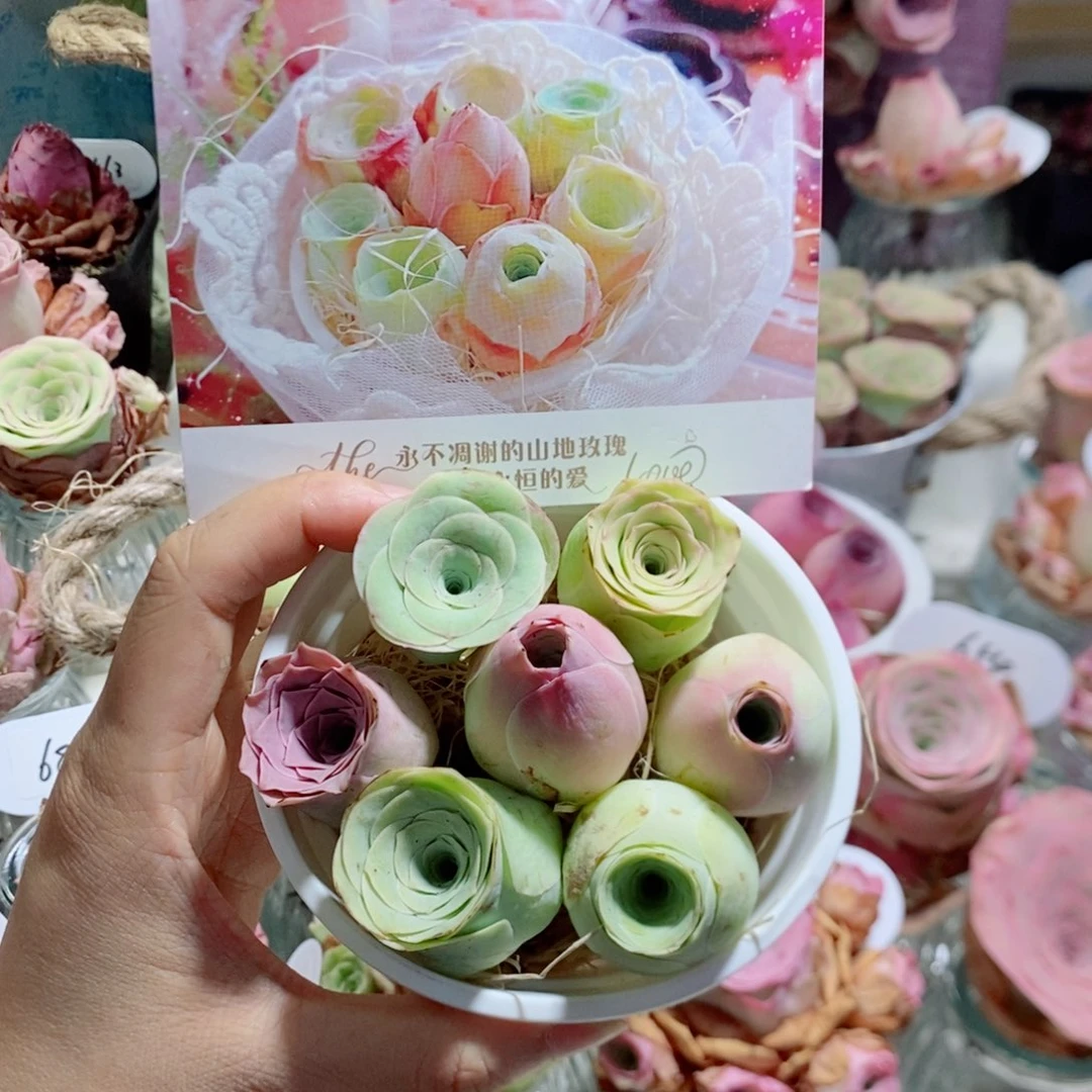 甜心小花桶7颗3公分左右（量拍）