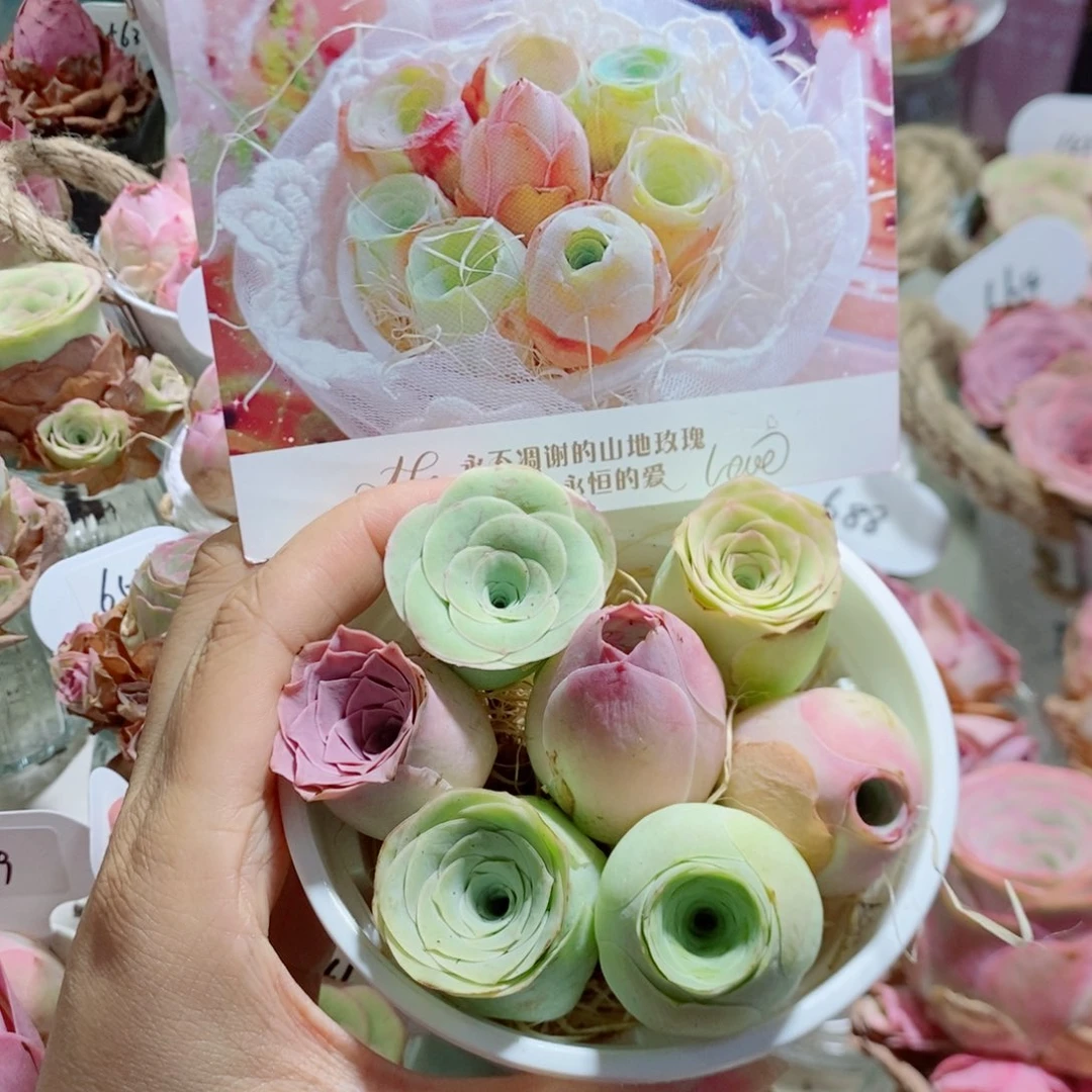 甜心小花桶7颗3公分左右（量拍）