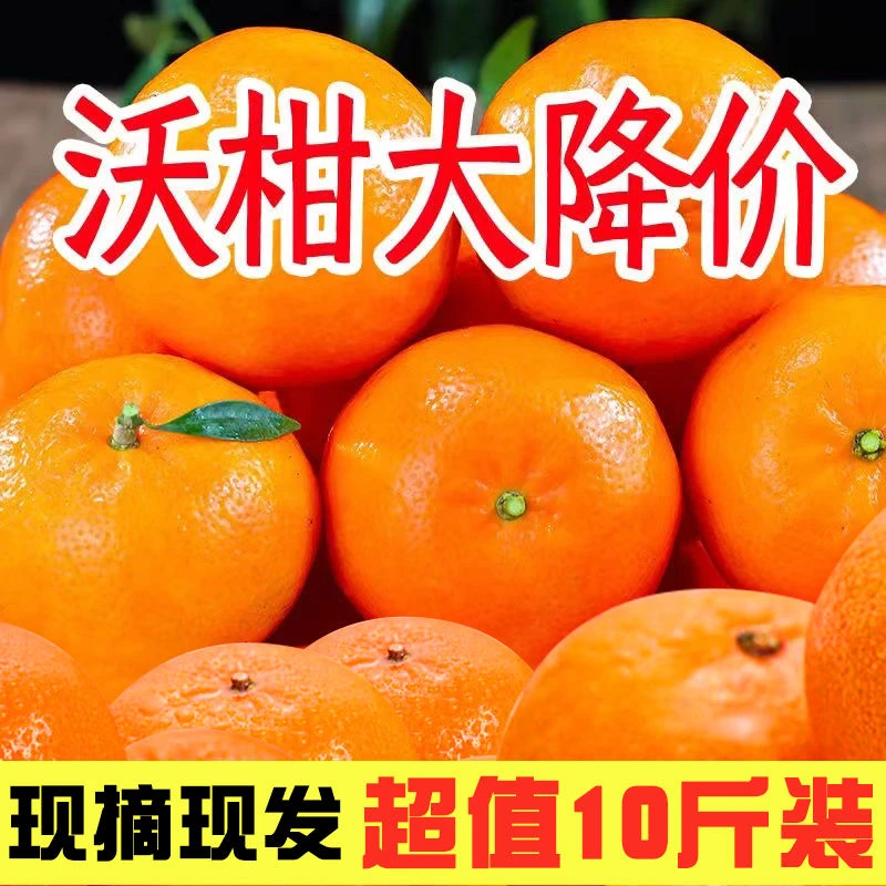 【新店半价】正宗云南沃柑现摘新鲜桔子水果沃柑批发3/5/9斤包邮