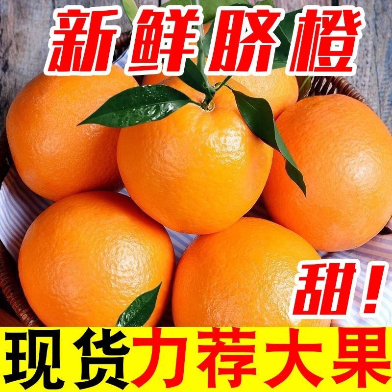 【新店半价】新鲜脐橙薄皮多汁现摘现发新鲜水果批发3/5/9斤包邮