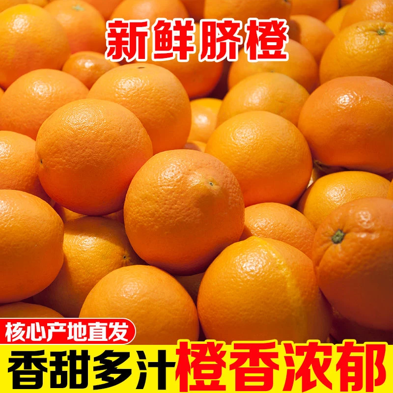 【新店半价】脐橙子当季新鲜手剥甜橙孕妇水果批发3/5/9斤包邮