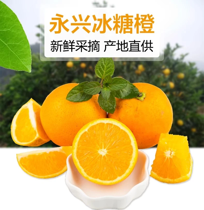 【永兴冰糖橙】高山精选小果冰糖橙生态果果园直发只卖本月