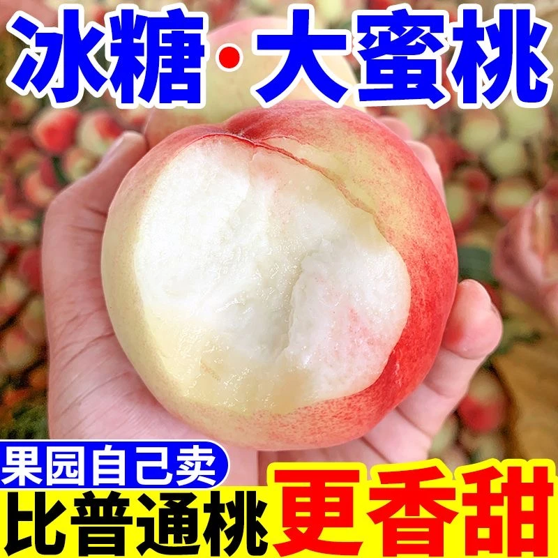 【夏日尝鲜】新鲜脆蜜桃山西运城水蜜桃5斤装中果脆甜多汁
