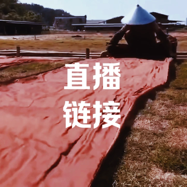 【皮子】香云纱新中式旗袍连衣裙真丝绸缎零裁
