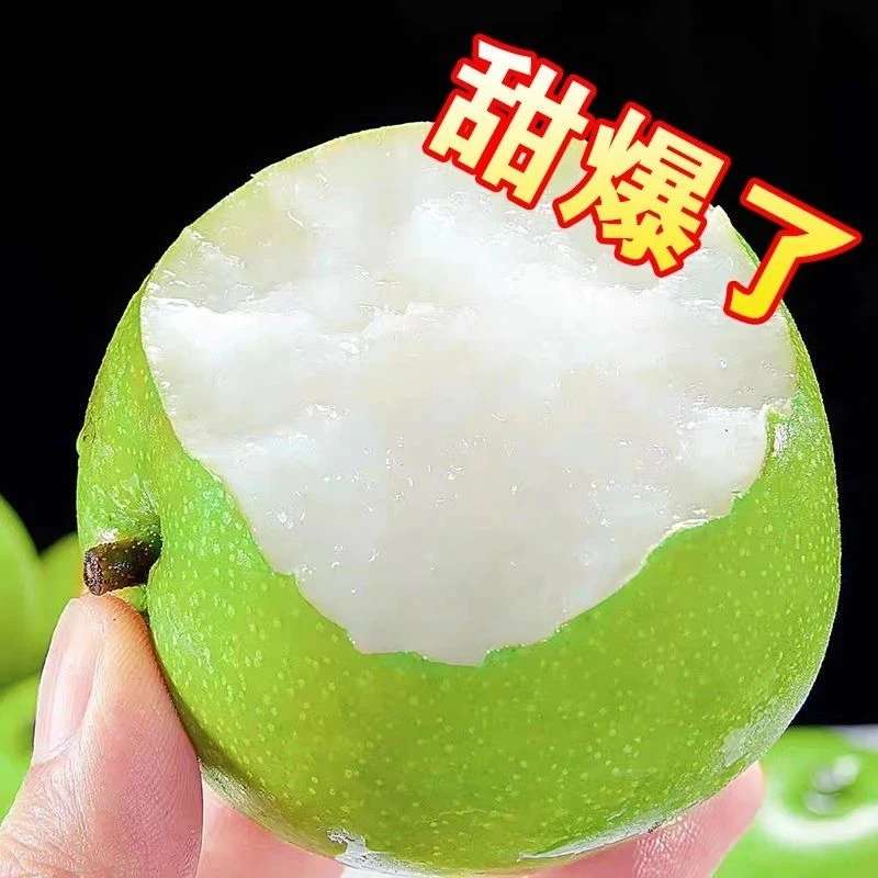 【2025现摘现发】砀山青皮密梨带箱5斤包邮新鲜多汁当季应季水果
