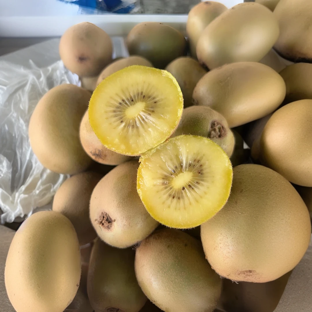 HFkiwifruit上海本地黄金果猕猴桃现采现发16粒150g精选