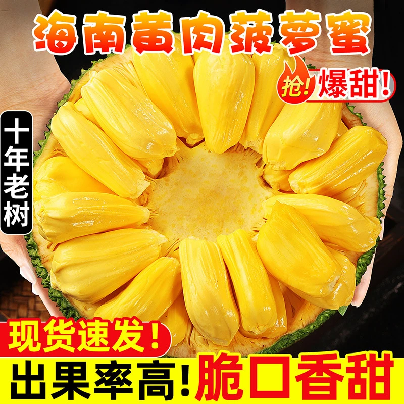 空运发货1海南三亚菠萝蜜黄肉干苞新鲜水果8斤热带一整个香甜食用