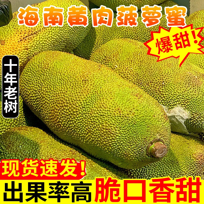 精选饱满 海南三亚菠萝蜜黄肉干苞新鲜水果8斤热带一整个香甜黄心