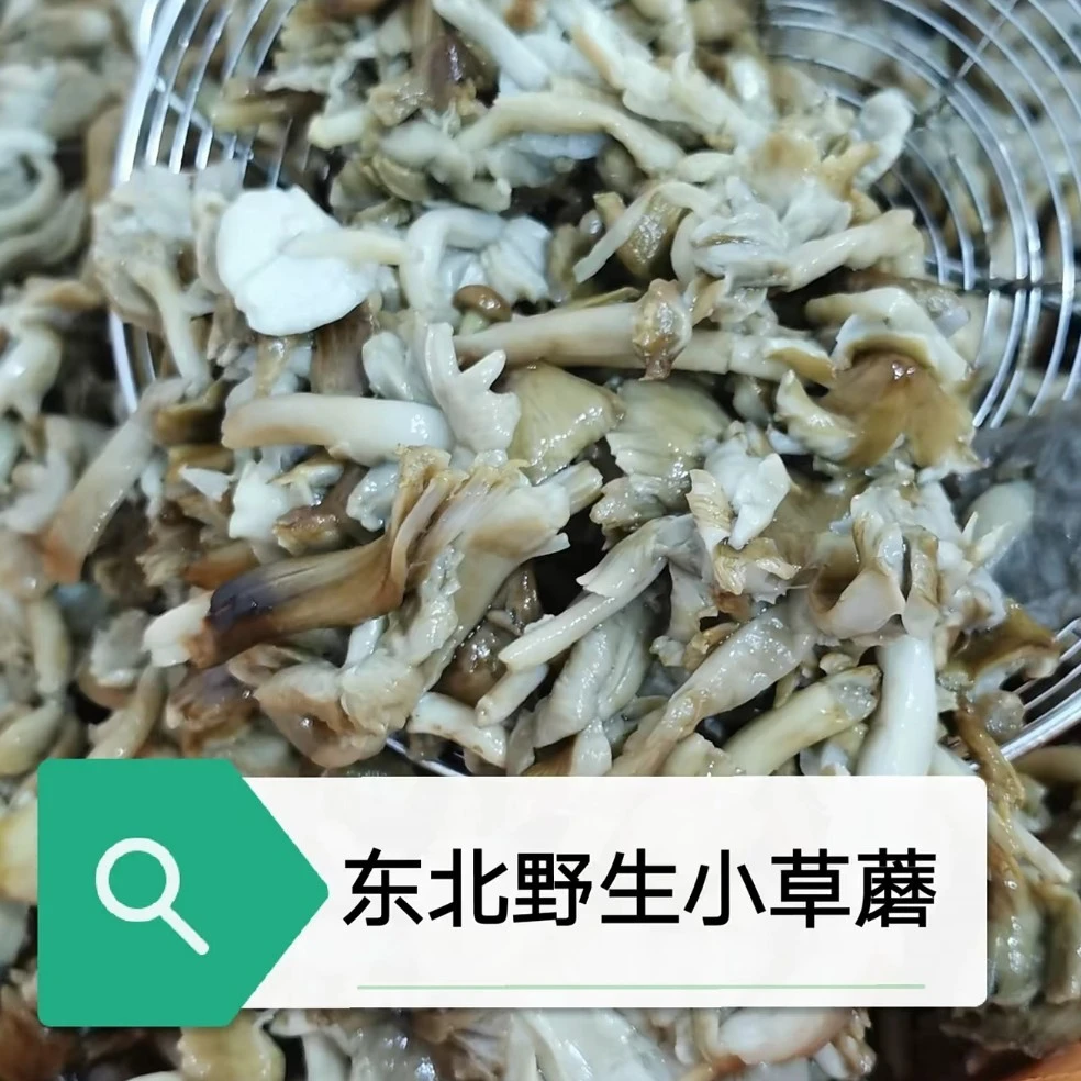 小草蘑菇纯野生，杂蘑，焯水拌盐咸蘑菇泡三四个小时泡淡之后在吃