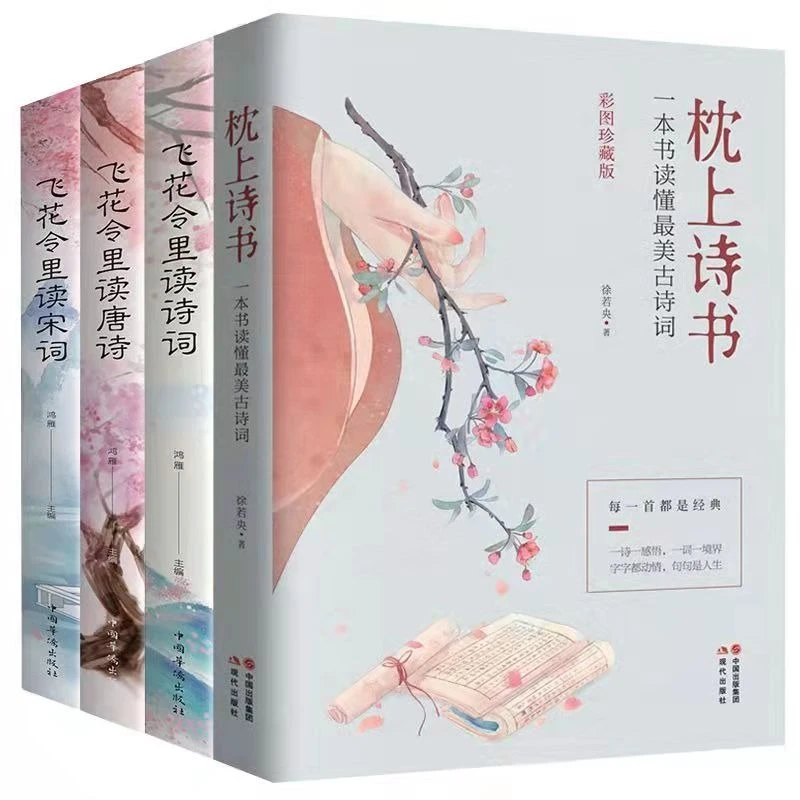 枕上诗书飞花令里读宋词诗词唐诗诗情赏析中国诗词大会书籍