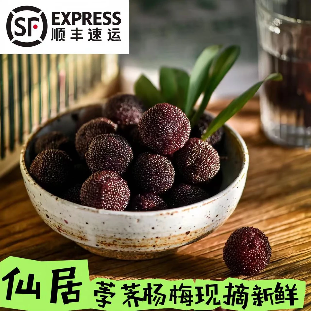 【荸荠杨梅】仙居荸荠杨梅 现摘现发8-12g饱满小黑碳送礼顺丰冷链
