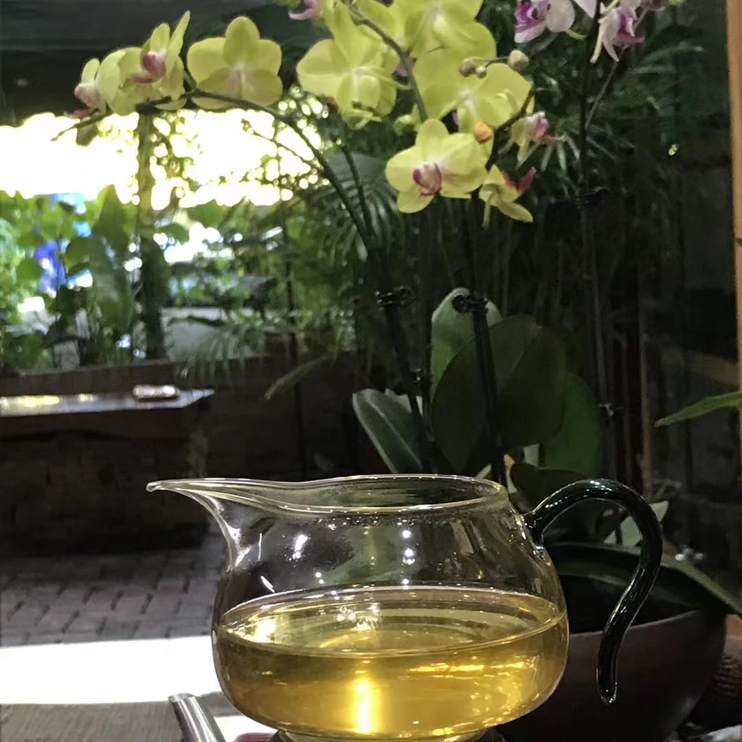 【鸣龙】倚邦 龙珠 生茶