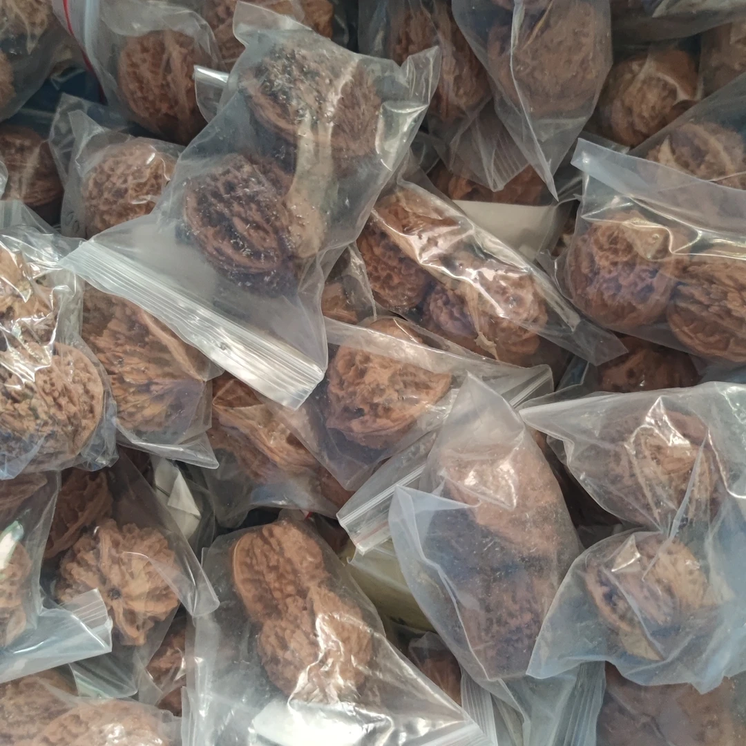 麻核桃练手对儿，拍一发二，带树苗种子