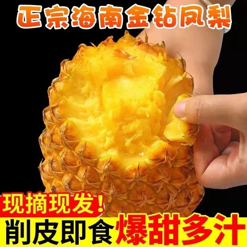 金钻凤梨海南包邮特产整箱正宗新鲜进口当季水果黄色去皮金钻黄皮