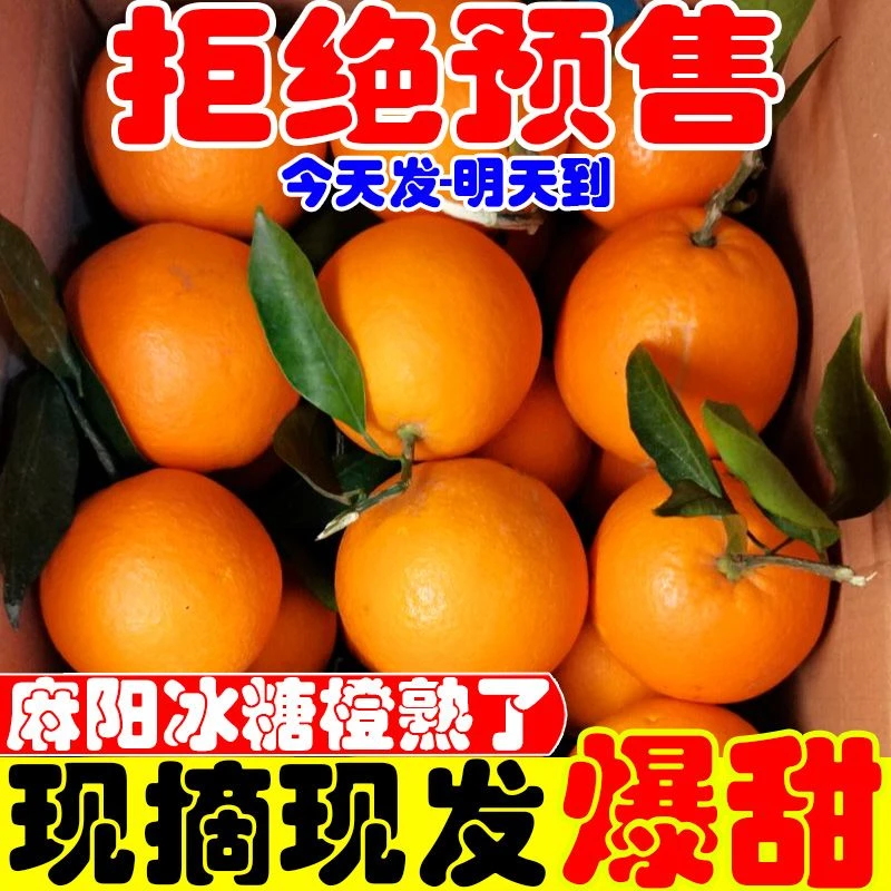 新鲜湖南麻阳冰糖橙现摘现发当季新鲜水果超甜手剥橙子小甜橙脐橙