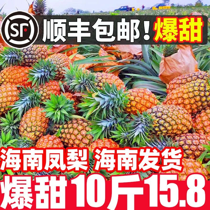 金钻凤梨【正宗】海南当季新鲜水果爆甜手撕香水菠萝凤梨斤包邮