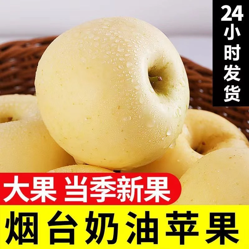 烟台脆甜奶油富士奶油苹果栖霞苹果脆甜整箱10斤批发