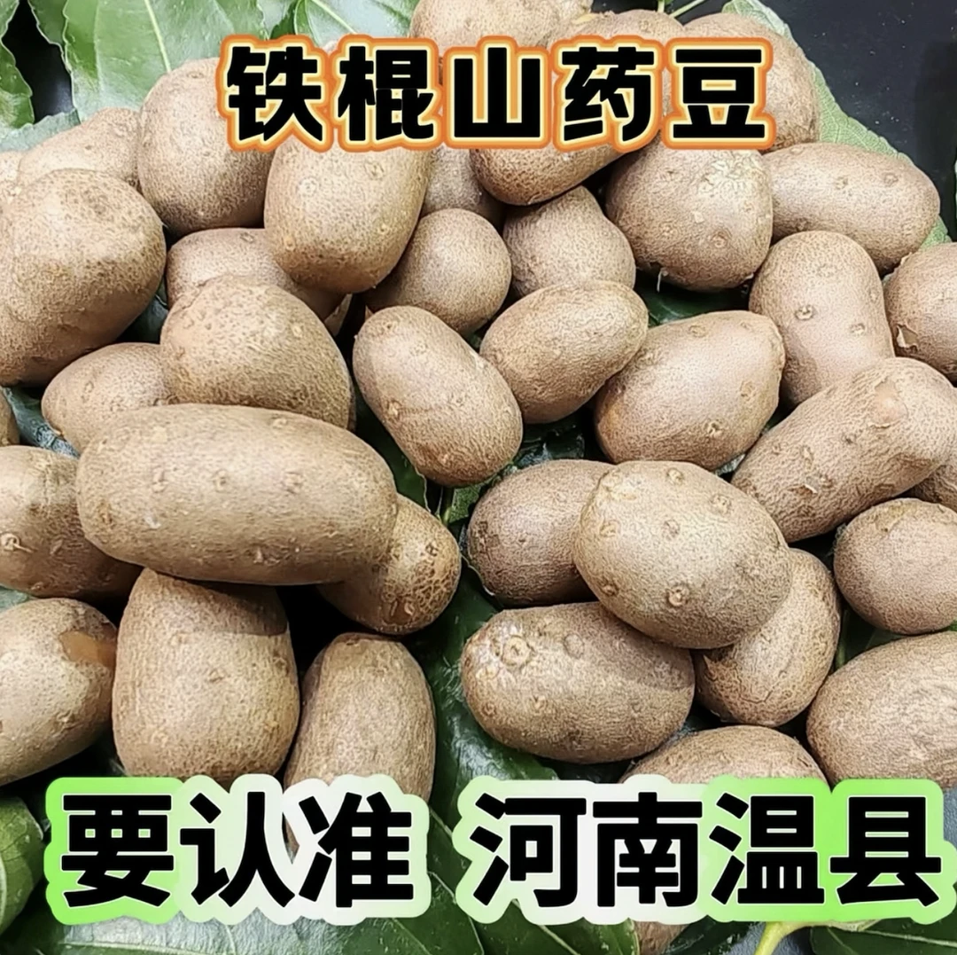 [山药豆]原产地河南焦作温县垆土铁棍新鲜净重软糯营养