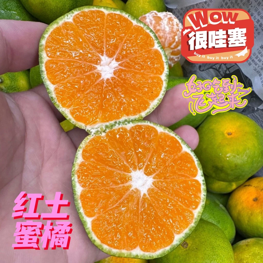 【极撰 | 顺丰】 蜜入红土蜜橘 正当季 皮薄多汁纯正酸甜可口G浙江省