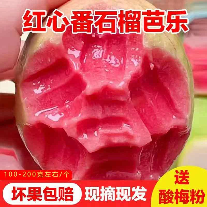 【芭乐红白双拼】水果拼装混装红心芭乐奶油白心新鲜便宜软糯无糖