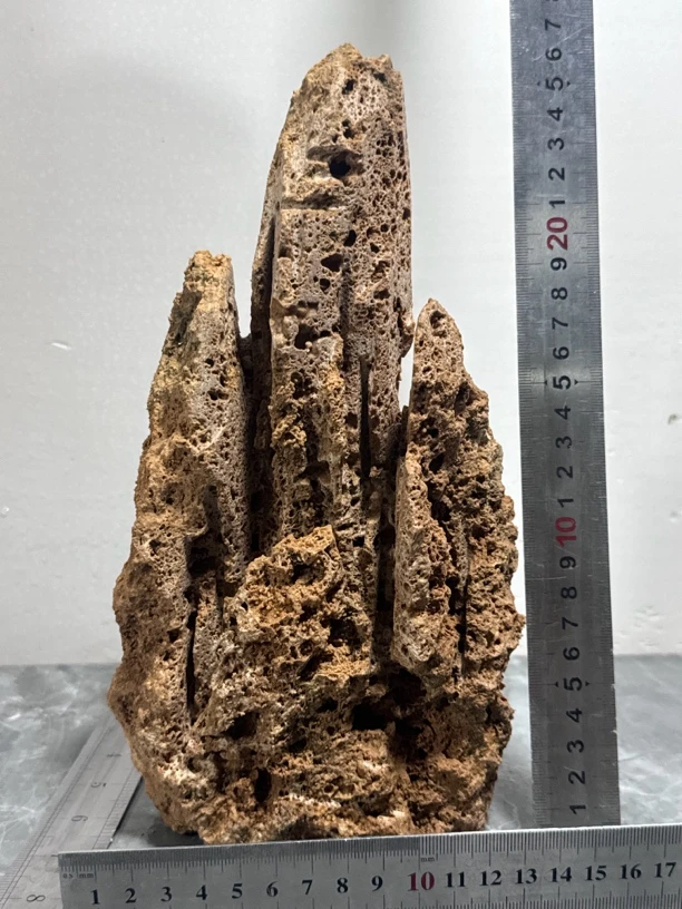 正品真品吸水石上水石假山盆景一物一拍