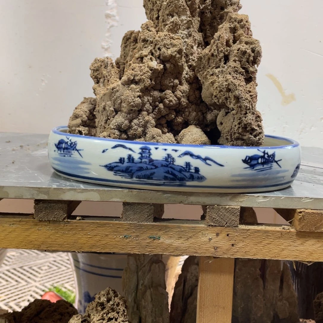 生****动上水石盆景一物一拍